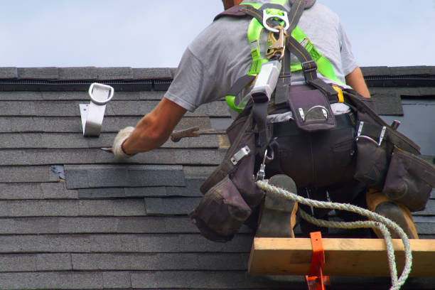 Best Roof Repair Specialists  in Central Park, WA