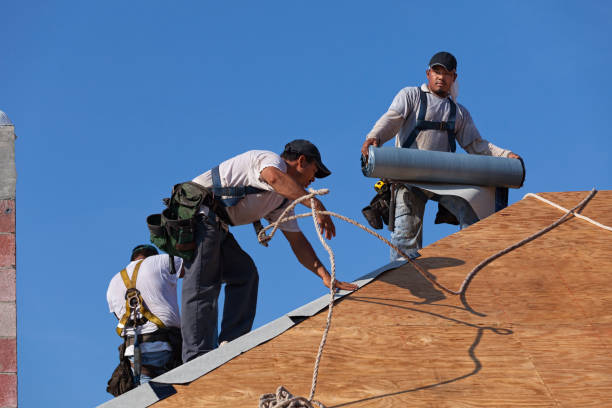 Best Roof Leak Repair  in Central Park, WA