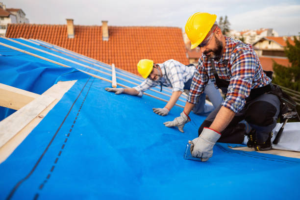 Best Emergency Roof Repair  in Central Park, WA